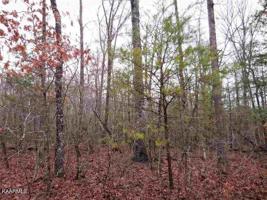 1105 Natchez Trace
