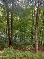 Lot 32 Jessee Rd.