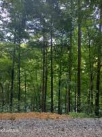 Lot 33 Jessee Rd.