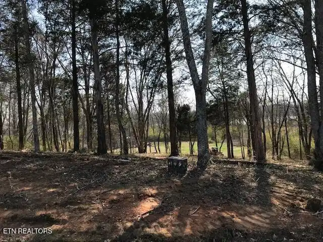 Image 1: 1