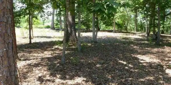 Image 2: 2