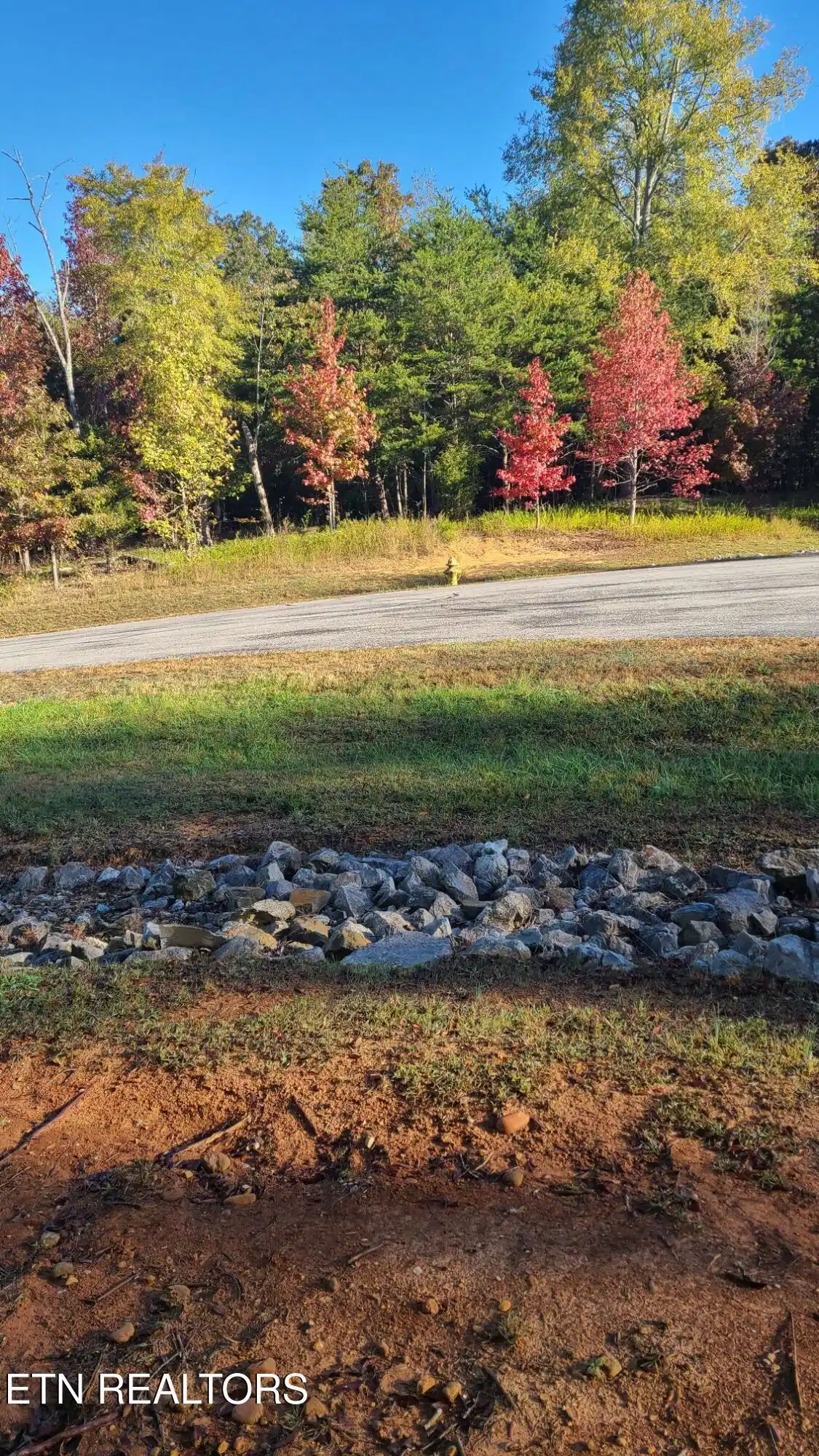 Image 1: Lot 65 New Hope Build Road Front