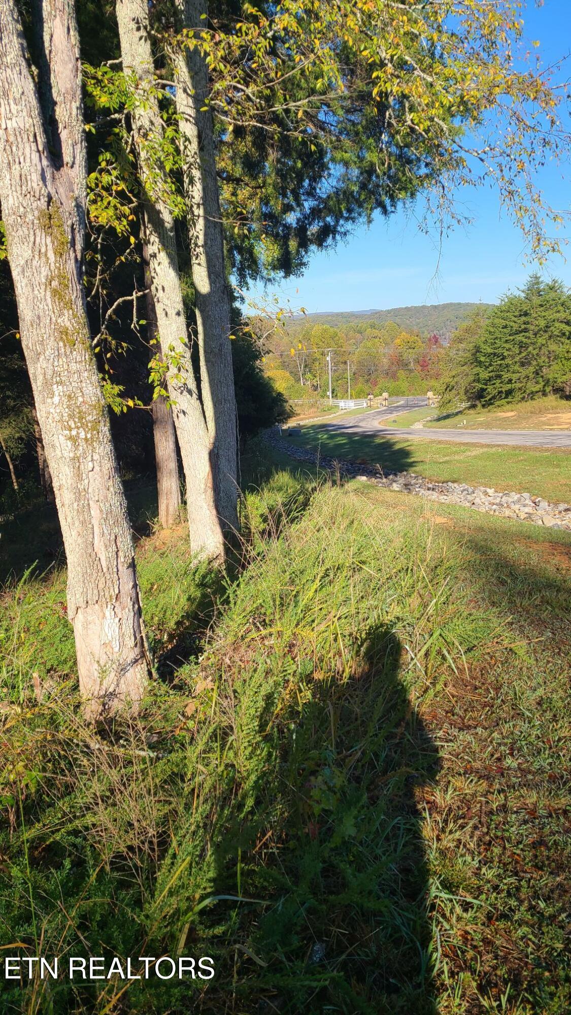 Image 2: Lot 65 New Hope Build Road2left