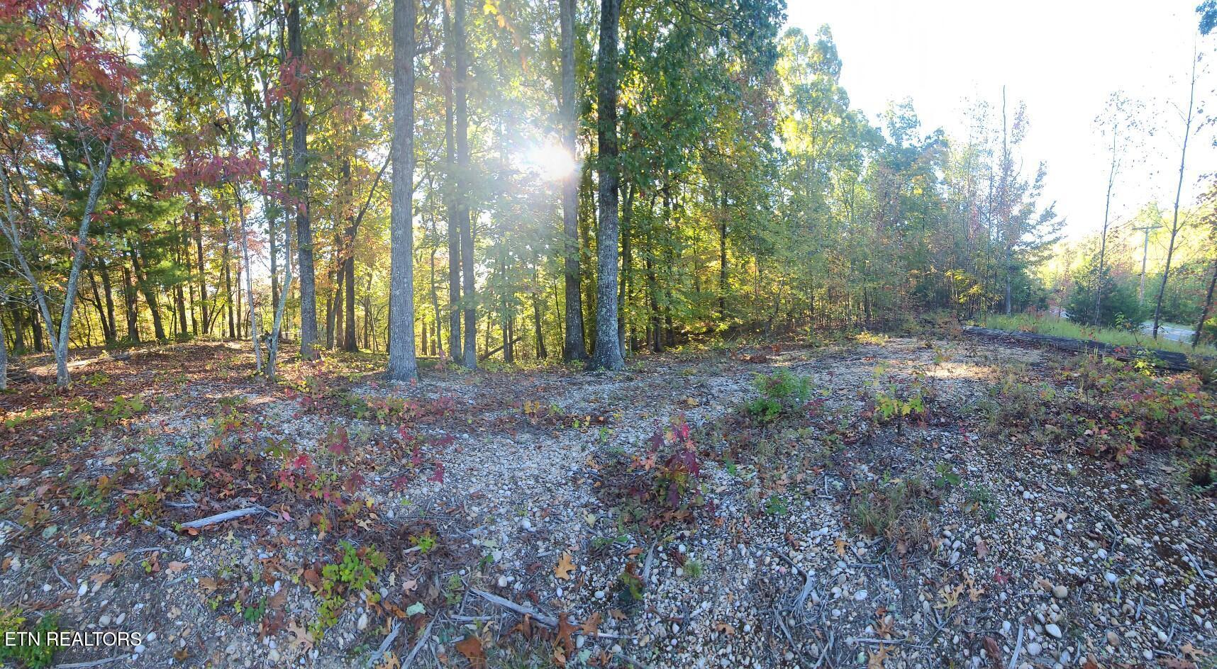 Image 3: Lot 65 New Hope Build Site a (1)