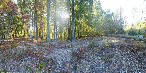 Image 4: Lot 65 New Hope Build Site a