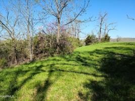 Lot 335A Larayne Hollow Rd