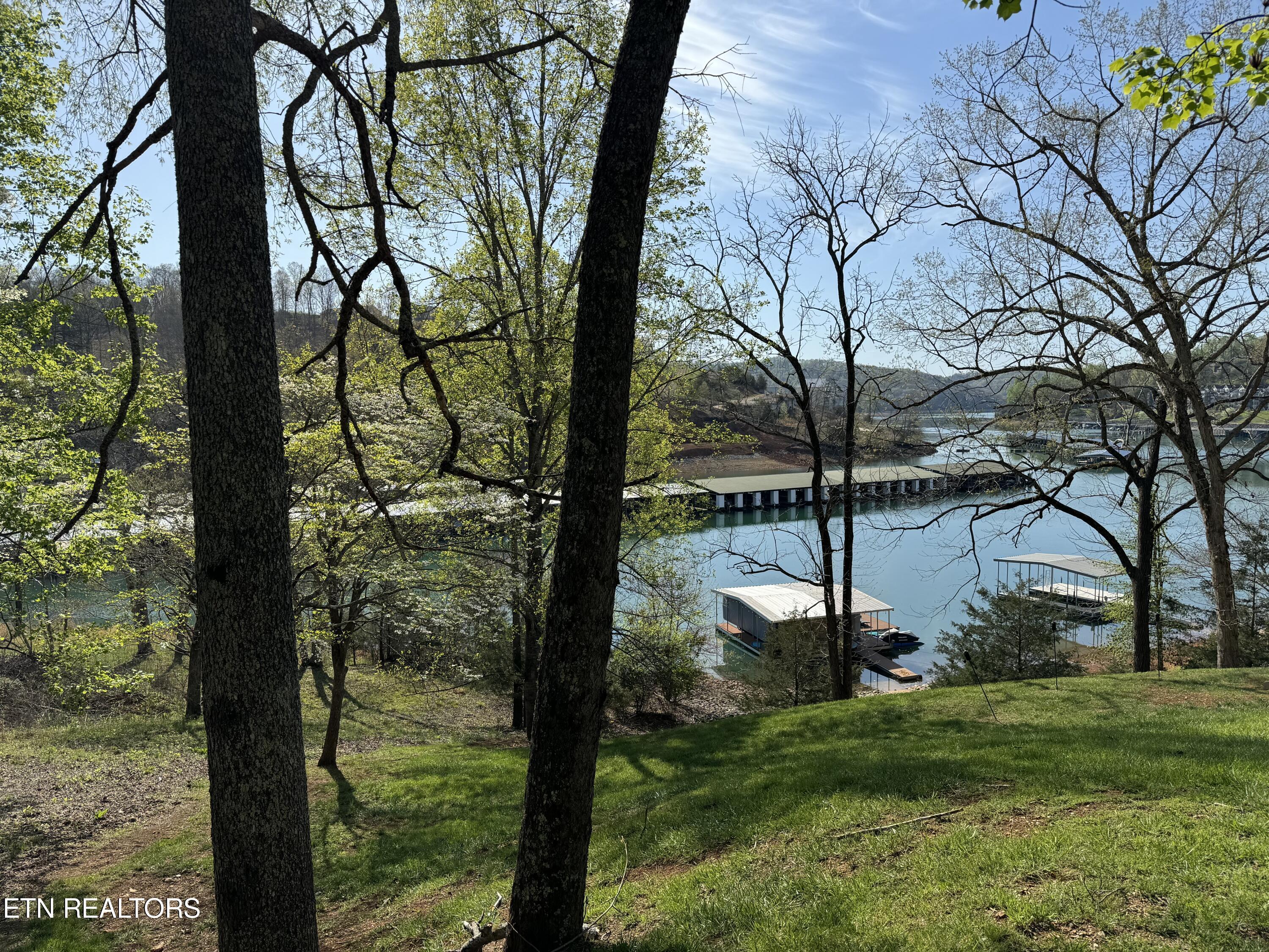 Image 4: Lakefront Lot