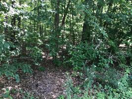 143 & 145 Dalefield Loop