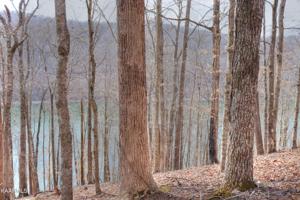 Lot 840 Driftwood Court