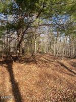 115 Tawny Oak Loop