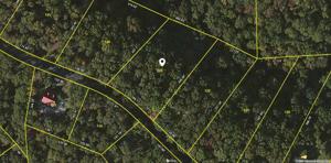 307 Chelaque Way 123