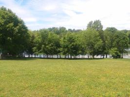 275 Pineberry Drive