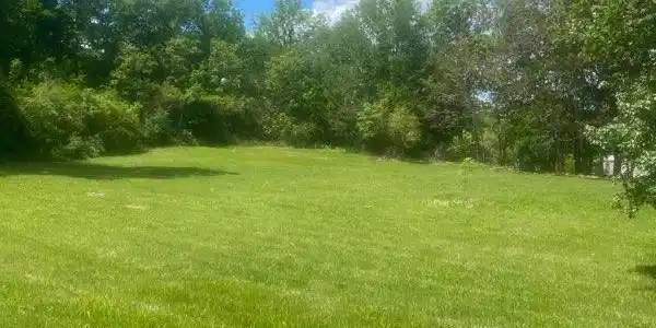 308 Cedar Crest Lane