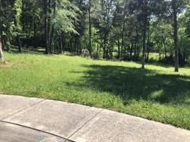 1700 Serene Cove Way