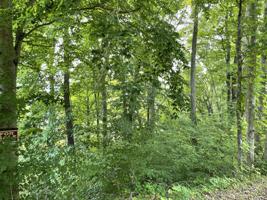 lot 44 Hiwassee Drive
