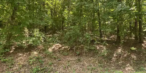 Lot P36 N Sequoyah Drive