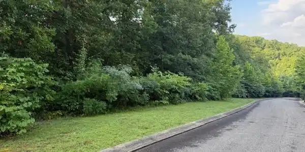 Lot 15 Woodland Creek Drive