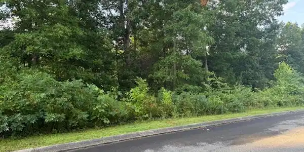 Lot 17 Woodland Creek Drive