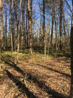 Lot 3 Welch Road