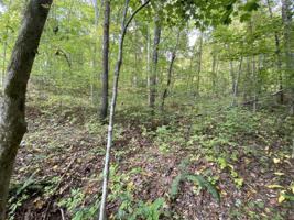 Lot 72 Catfish Lane