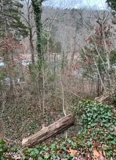 Image 1: Indian River Boat Dock Rd. Lot 15X (10)