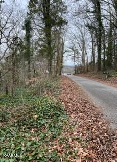 Image 2: Indian River Boat Dock Rd. Lot 15X (11)