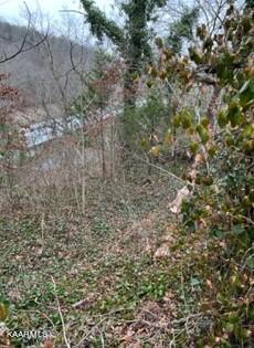 Image 3: Indian River Boat Dock Rd. Lot 15X (12)