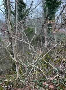 Image 4: Indian River Boat Dock Rd. Lot 15X (13)