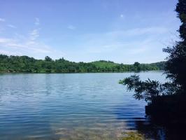 Williams Bend Rd
