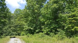 3020 Tawas Loop 35 & 36