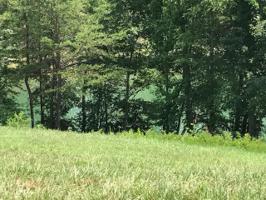 1481 Halyard Rd 167