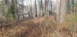 129 Timberlake Drive 65