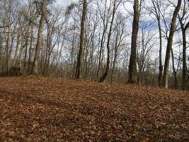 10ac Millie Ridge Rd