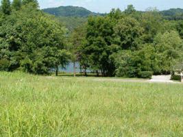 150 Pineberry L 358 Drive