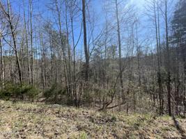 lot 4 Windsor Lane