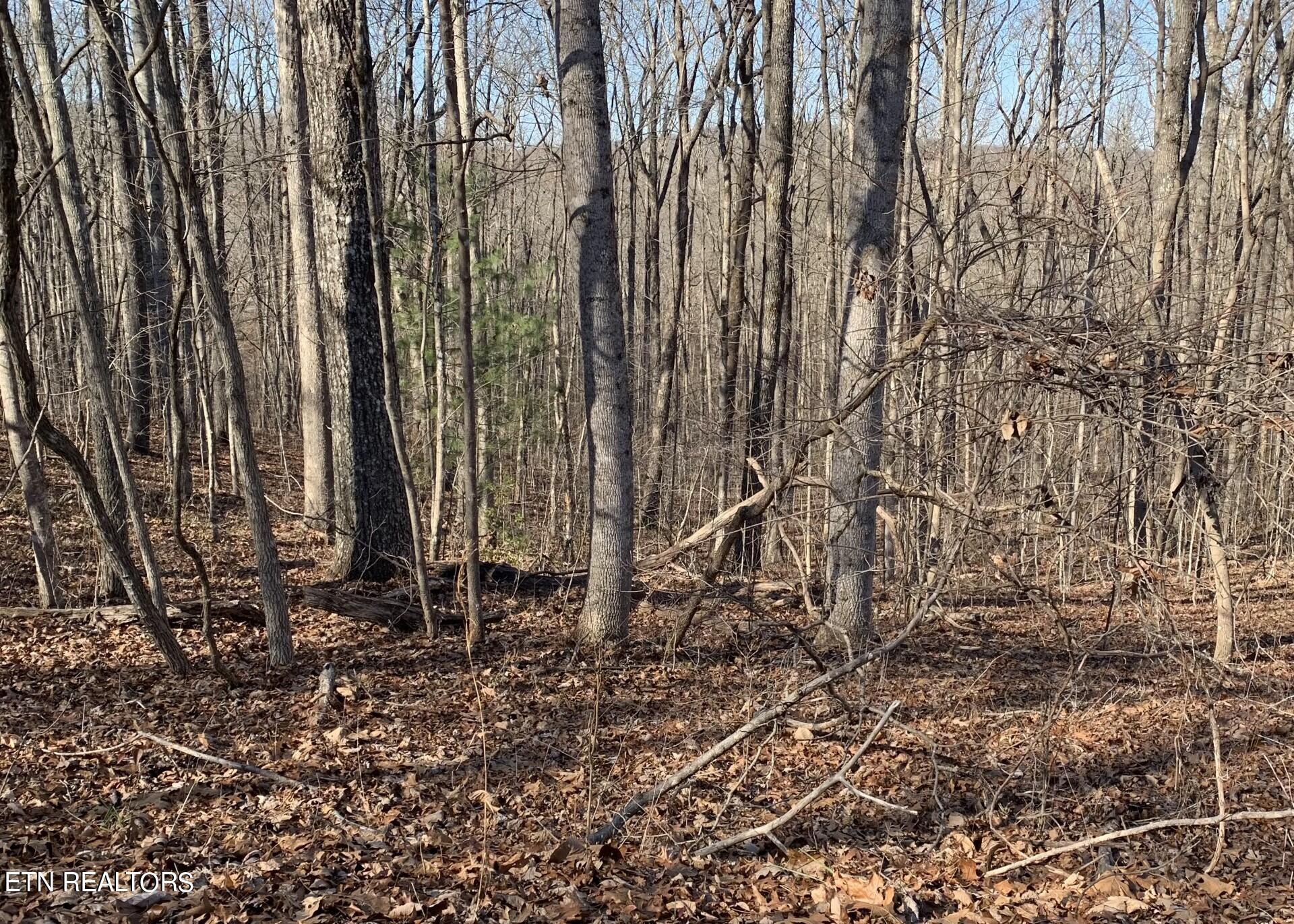 Image 1: 190 Beachwood.4