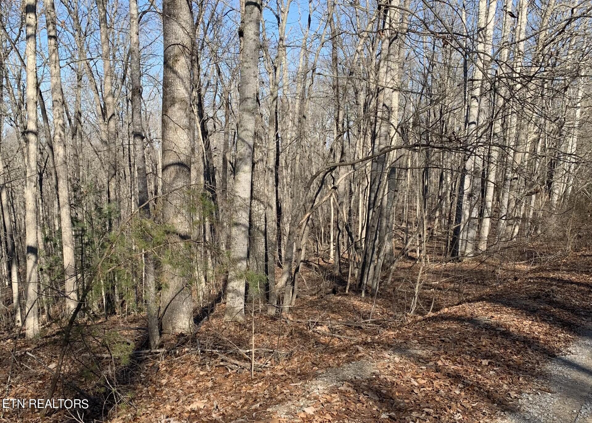 Image 2: 190 Beachwood.2