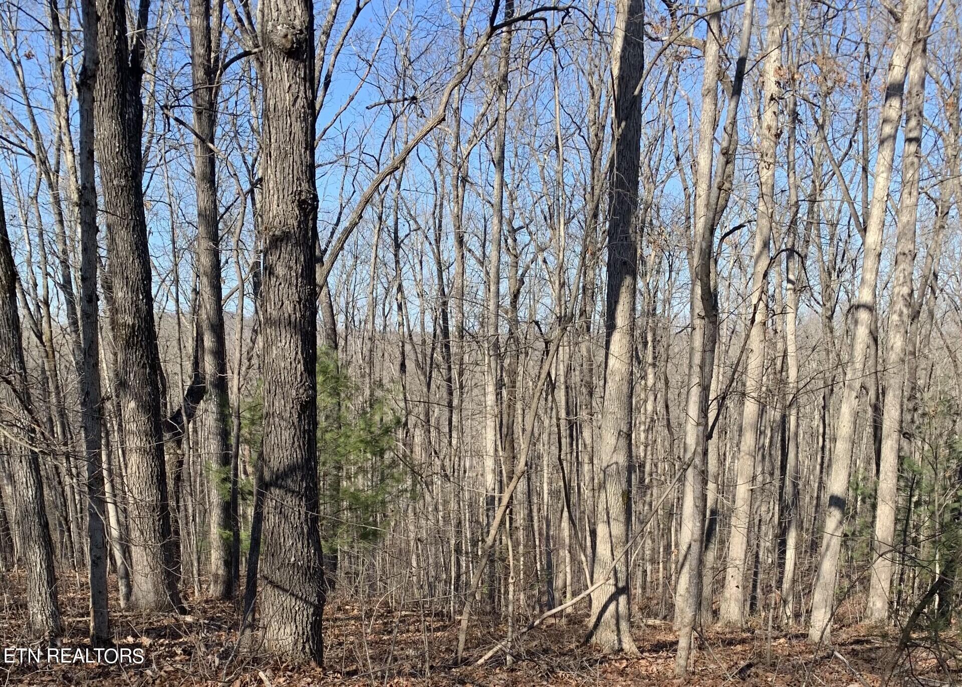 Image 3: 190 Beachwood.1