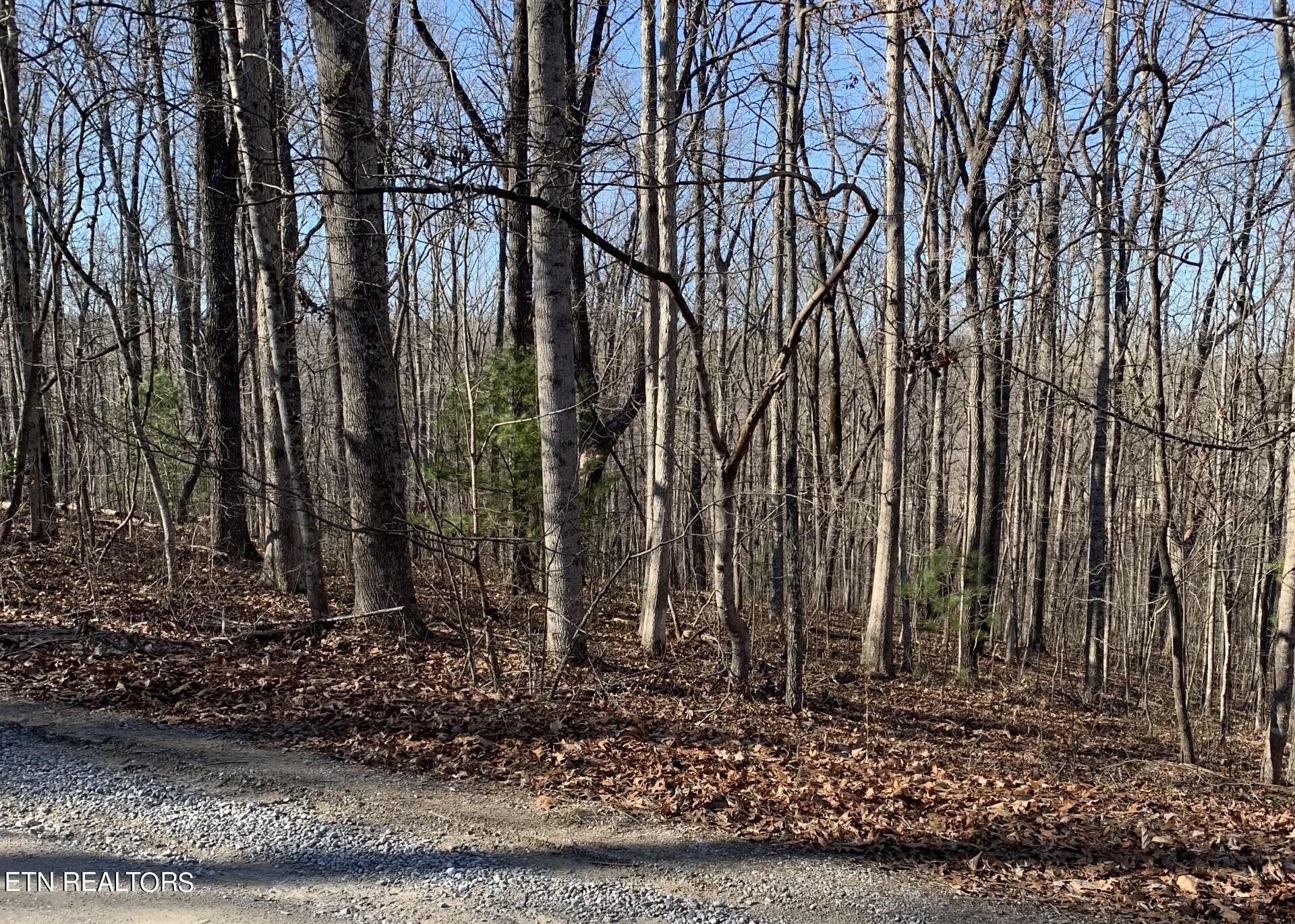 Image 4: 190 Beachwood.3