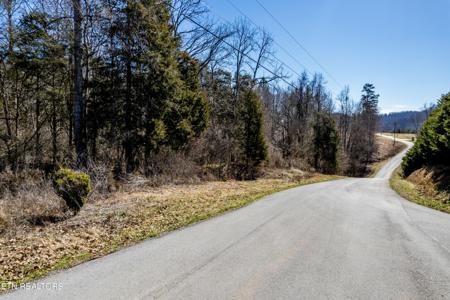 Lot #44 Old Leadmine Bend Rd