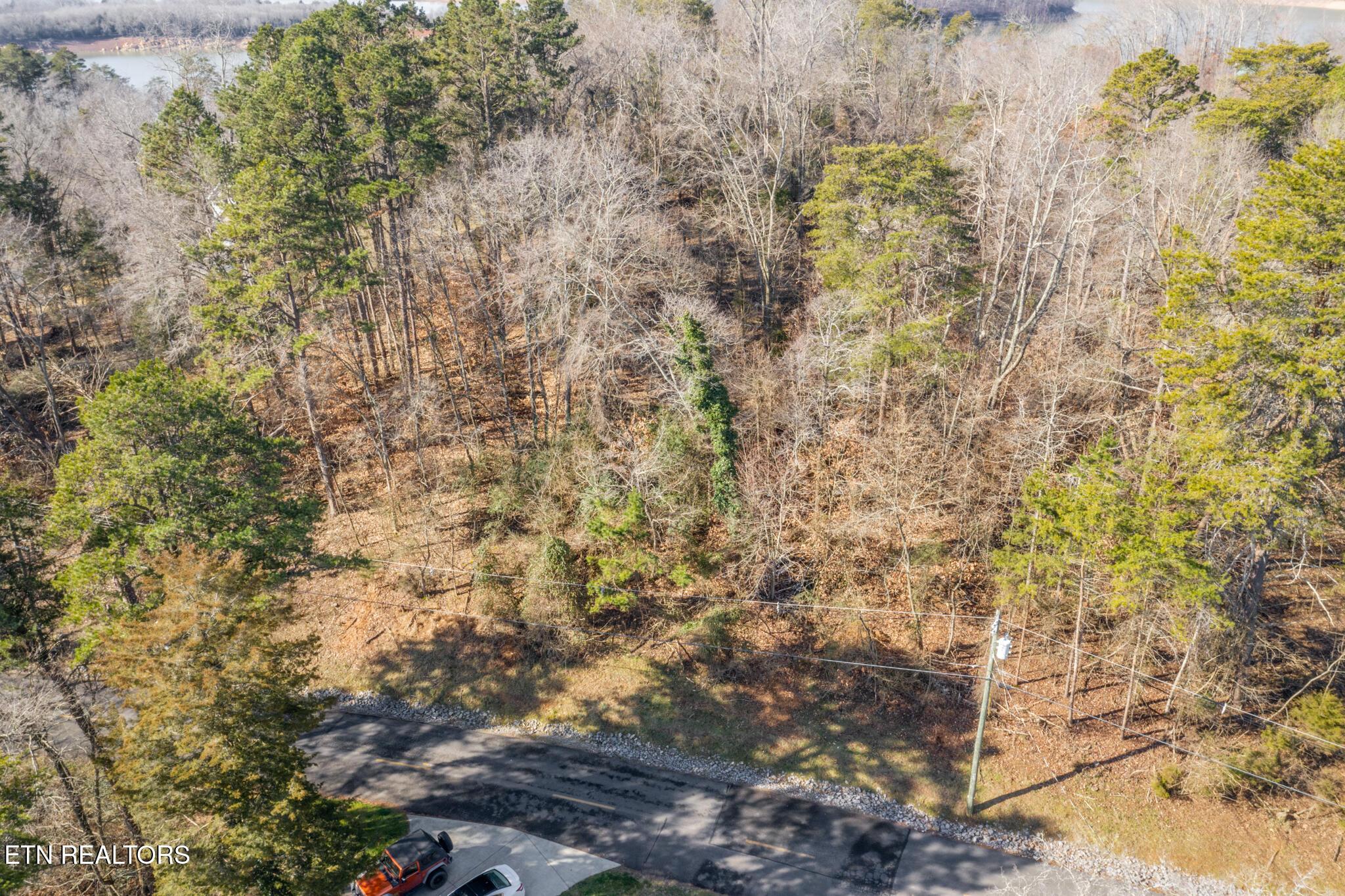Image 1: 374 Chelaque Way - 1