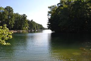 145 Overlook Cove 57