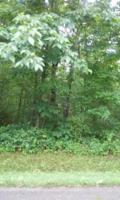 1133 Arrowhead Drive