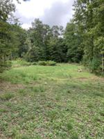 181 George Thomas Rd