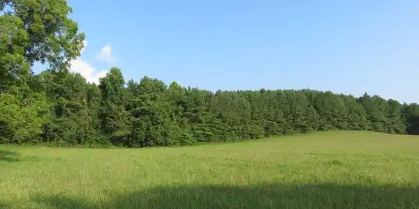 Lot 2 State Highway 58 N