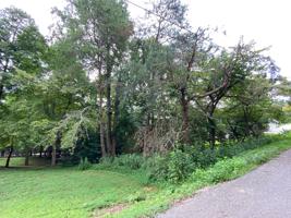 Little Deer Path Lane