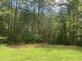 Lot 16 Black Fox Harbor Rd