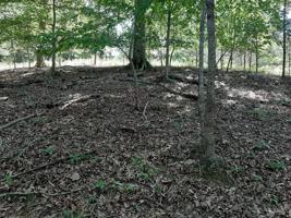 Lot 10 Deer Pond Circle