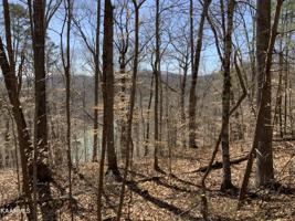 Lot 250 L-250 Big Ridge Pt.