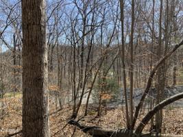 Lot 80 L-80 Norris Shores Dr.